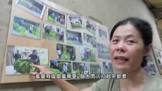 溫家菸樓故事館｜傳統菸葉產業文化保存–花蓮玉里人文的集體記憶