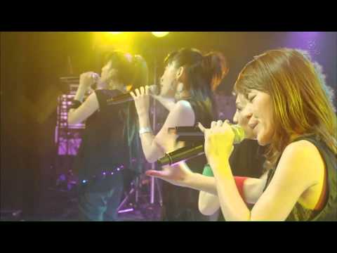 download lagu mp3 mp4 Download 2010 04 21 SPEED Growing Sunflower Mp3, download lagu Download 2010 04 21 SPEED Growing Sunflower Mp3 gratis, unduh video klip Download 2010 04 21 SPEED Growing Sunflower Mp3