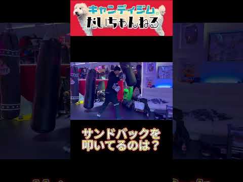 #hiphop #ラッパー #リッキー #rykey #星野大介＃格闘技