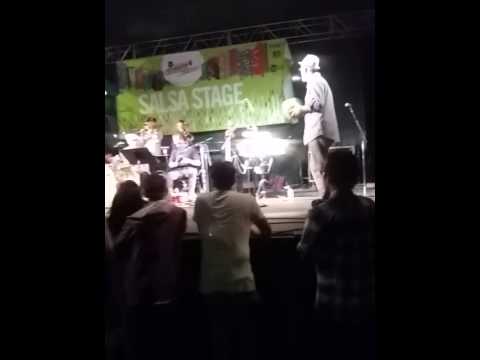 The 2015 Jazz Festival, San Jose, CA USA style