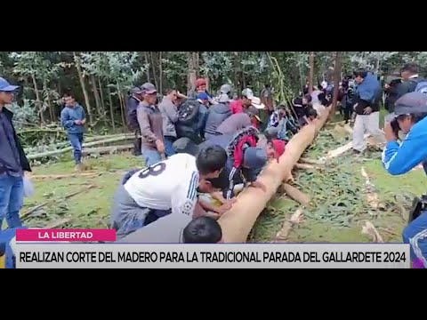 La Libertad: realizan corte del madero para la tradicional parada del gallardete 2024