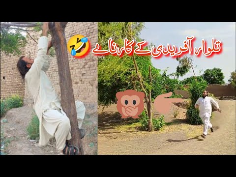 Talwar Afridi New Funny Clips | Muhammad Hussain TikTok