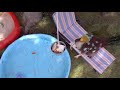 KIKA Dino Dan End Credits Part 2 German Version