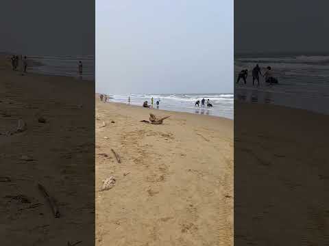 Today ma trip wonderful Mypad Beech @@ Miru Eppudaina Vellara..