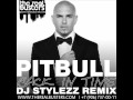 Pitbull Back In Time DJ STYLEZZ Remix