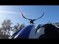 SWOOPING MAGPIE ATTACKING A BICYCLE RIDER ON THE GOLD COAST GOPRO CATCHES THE MOMENT