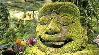 Wankelmut &amp; Emma Louise - My head is a jungle  Gui Boratto remix