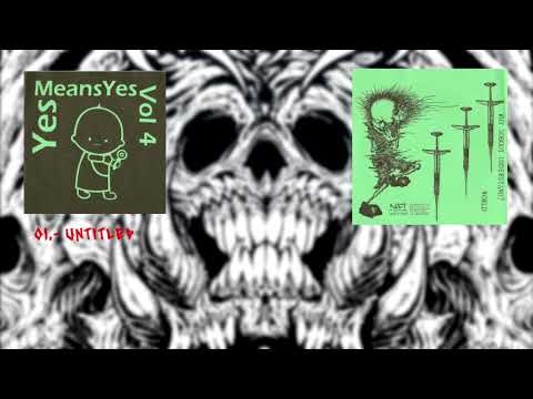 YesMeansYes / World - Vol. 4 / Why Nobody Understand Full Split [1997] - (Noisegrind)