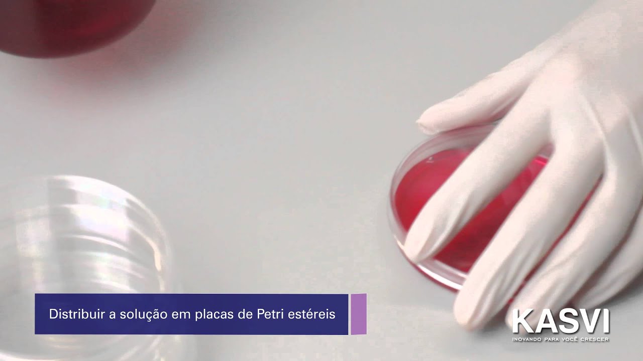 Microbiologia - Cultivo de microrganismo em Placa Petri