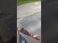 My Trip To The Drive Thru Turned Chaotic Very Quickly