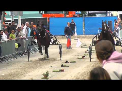 Korte Baanflits: Samenvatting kortebaan Amsterdam 2012