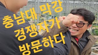 충남대학교 무화과 학생은 나에 경쟁자