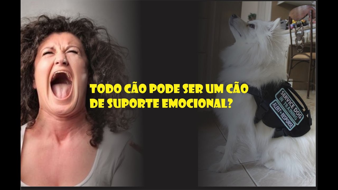 CÃES DE SUPORTE EMOCIONAL - 01