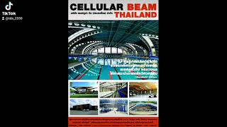 เซลล์ลูล่า บีม (ประเทศไทย) บจก. เซลล์ลูล่า บีม (ประเทศไทย) บจก.