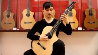 Butterfly Lovers 梁祝 - Steven Law