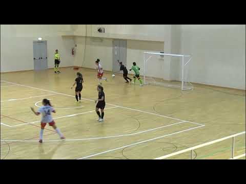 Audace C5 Verona - Vip Altamarca: la sintesi