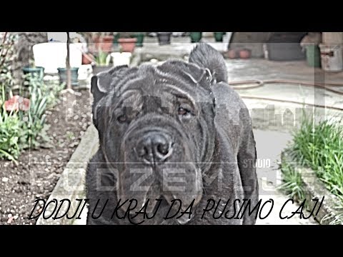 Erot x Gohan x Hektor - Dodji u Kraj  (Official Video)