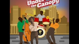 Frank Edwards - Under The Canopy