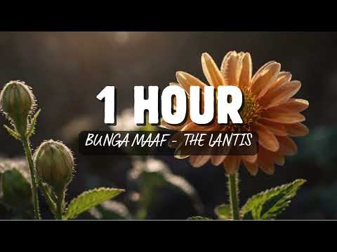 1 Hour Bunga Maaf - The Lantis