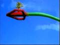 PBS PBS Kids WETA Continuities April 4 2003 1 3