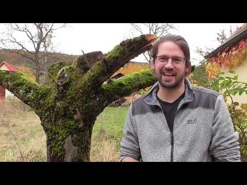 Gedanken zum 02.11.2020 - Segensreiche Worte