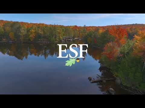 ESF Drone Tour