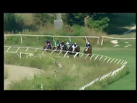 Napoli Galoppo 13/08/2022 - 2ª corsa