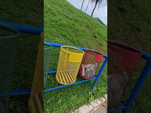 cachoeira queda d'água Balneário Cidade Dom Pedro - MA vídeo real #natureza #aventura