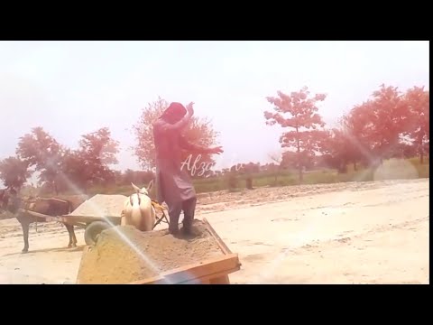 Nika jiya mahi ronda watna ta choriya.. Punjabi song . dance with work.. funny dance