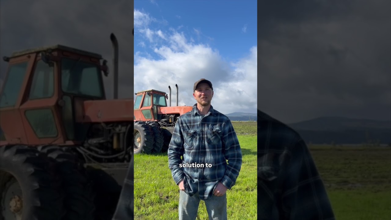 Port Westward Levee Conditions Explained | Beaver Drainage District