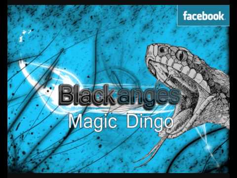 Blackanges - Magic Dingo