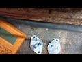 Ahuja Amplifier No Sound Problem Bt Pannle On