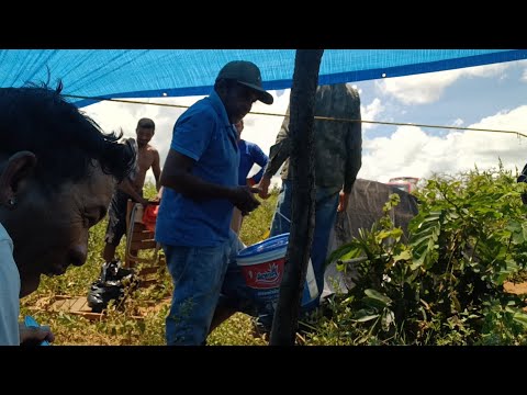 #acampamento com amigos # terceiro dia #pescaria #caldeirada #três rancho#goiás 