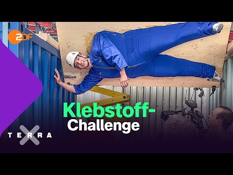 Wie viel Kraft steckt im Bio-Klebstoff? | Terra X plus