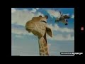 The Wild DVD Commercial 3 2006