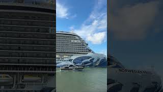 Norwegian Prima sounding her horn! #shorts #norwegianprima #norwegiancruiseline #cruiseship
