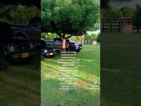 VENDO HERMOSA HACIENDA EN CHINÚ (Córdoba)