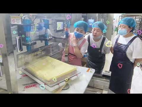 sheet cake automatic cutting machine - ultrasonic sheet cake cutter