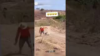 Download lagu SIAP TAHAN TAWA😁😁 #viralshort #vidiolucubikinngakakterbaru #fypシ゚viral #ngakak #vidiol#viralshort mp3