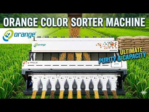 Rice Sorting Machine