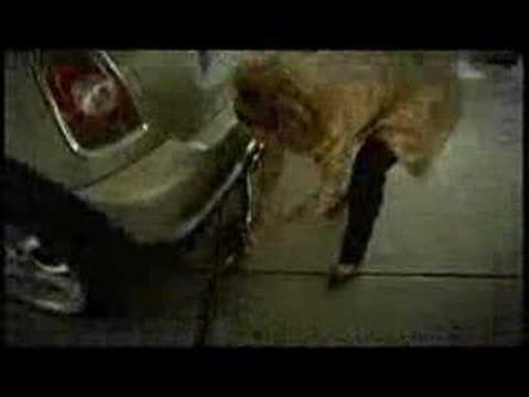 Frau am Steuer - Heute: Tanken