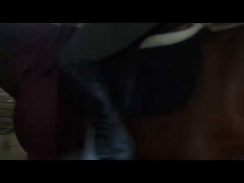 Alexa's Spirit - 4th ride under saddle since retiring from racing.