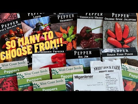 Choosing Which Pepper Varieties to Grow