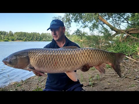 Feeder ribolov na rijeci Savi Amir Taletovic