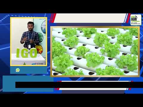 Upvc rectangular hydroponic systems, capacity: 50 to 1000 pl...