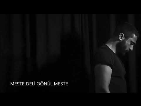 Meste deli gönül meste