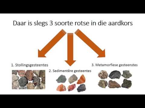 LEWENSWETENSKAP GRAAD 9: 20 Mei 2020 - periode 7 (20097)