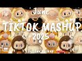Tiktok Mashup June 2025 Not Clean