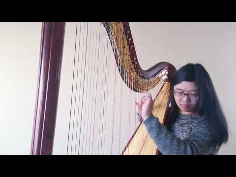 Stephen Schwartz/Hans Zimmer River Lullaby from Prince of Egypt (harp arrangement)