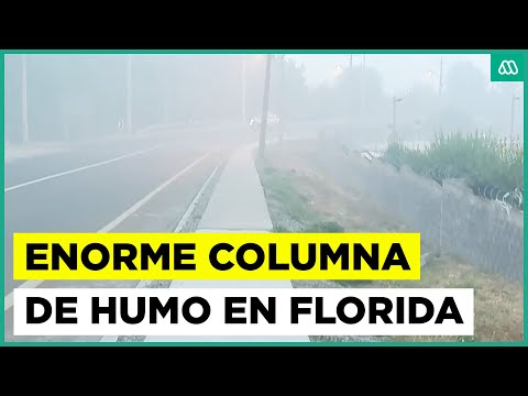 Florida bajo columna de humo debido a incendio en Biobio y Ñuble